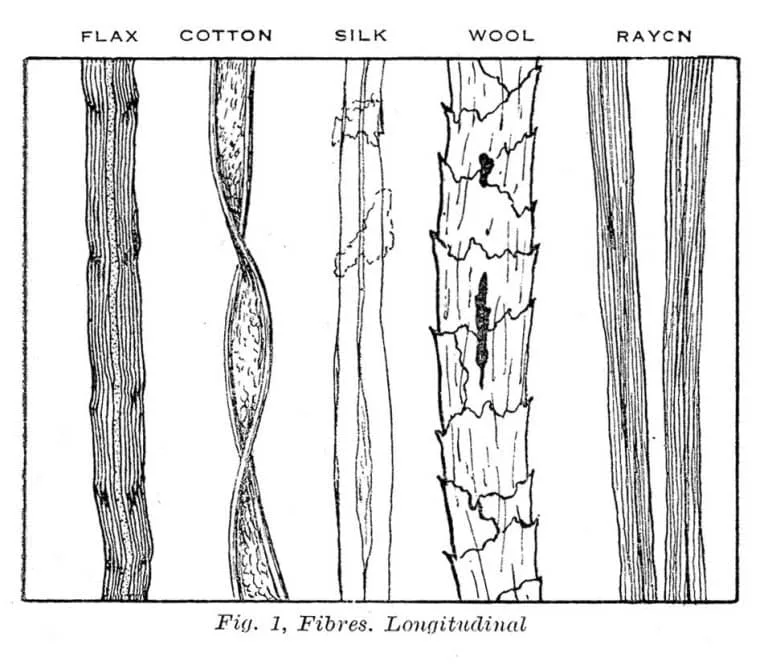 Illustrations of different textile fibers under a microscope