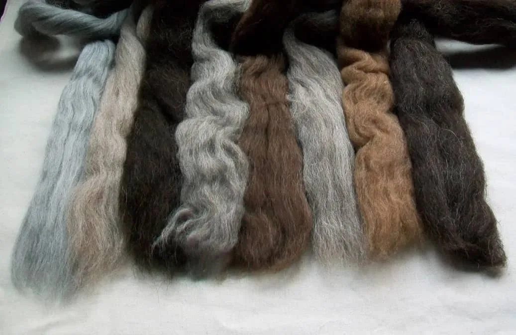 Natural colors of wool top for spinning